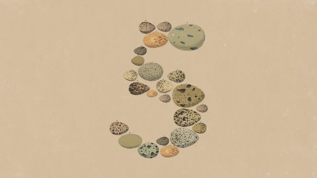 Image du logo de Claude Opus 5 d'Anthropic