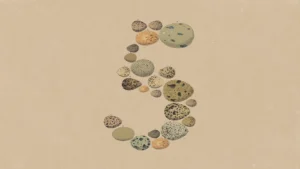 Image du logo de Claude Opus 5 d'Anthropic