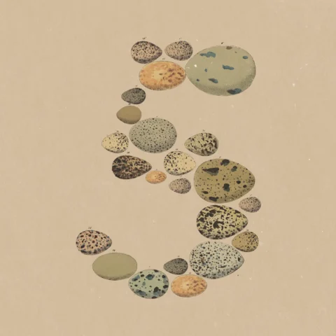 Image du logo de Claude Opus 5 d'Anthropic