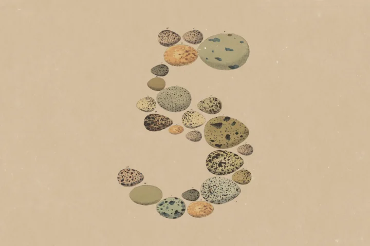 Image du logo de Claude Opus 5 d'Anthropic
