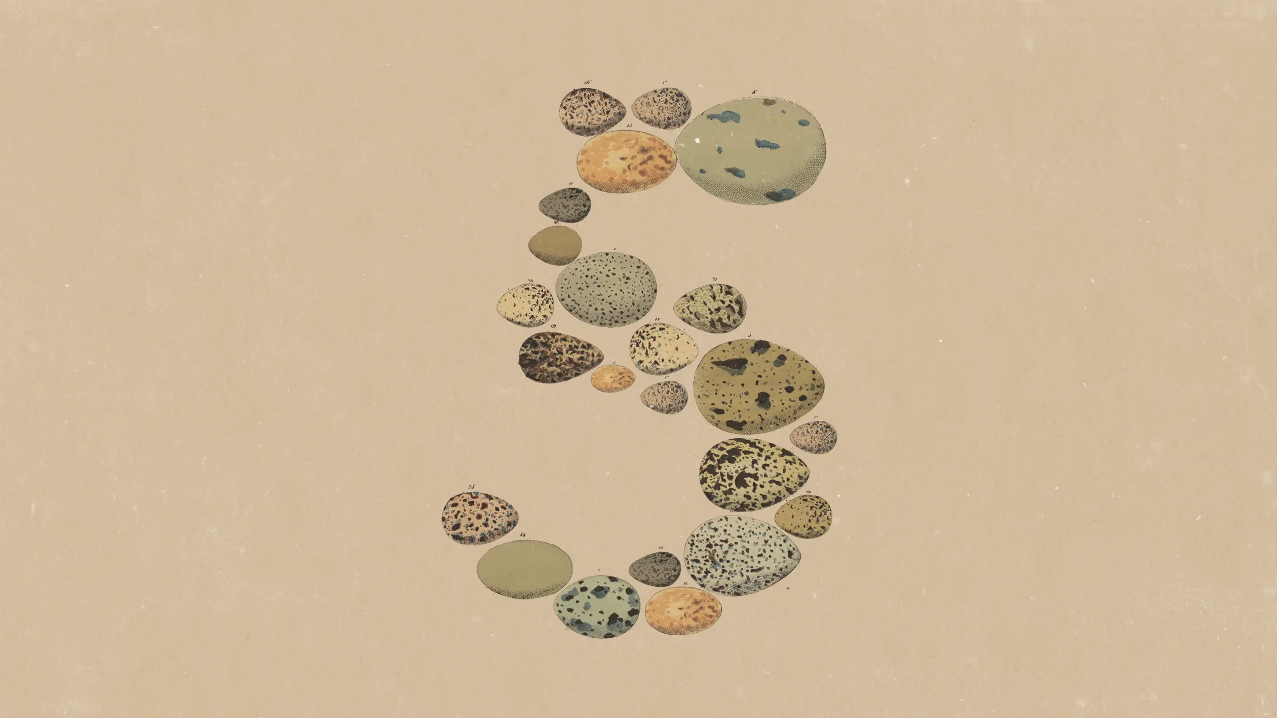 Image du logo de Claude Opus 5 d'Anthropic