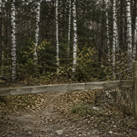 Barrière de bois et câble fermant l'entrée d'un sentier forestier