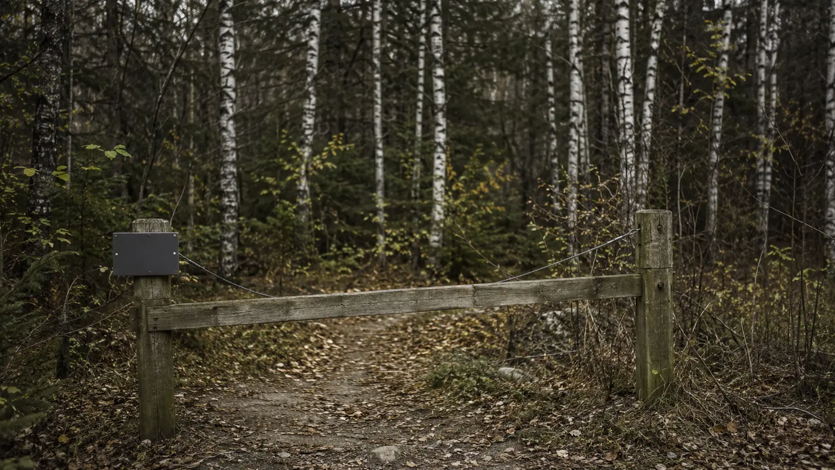 Barrière de bois et câble fermant l'entrée d'un sentier forestier