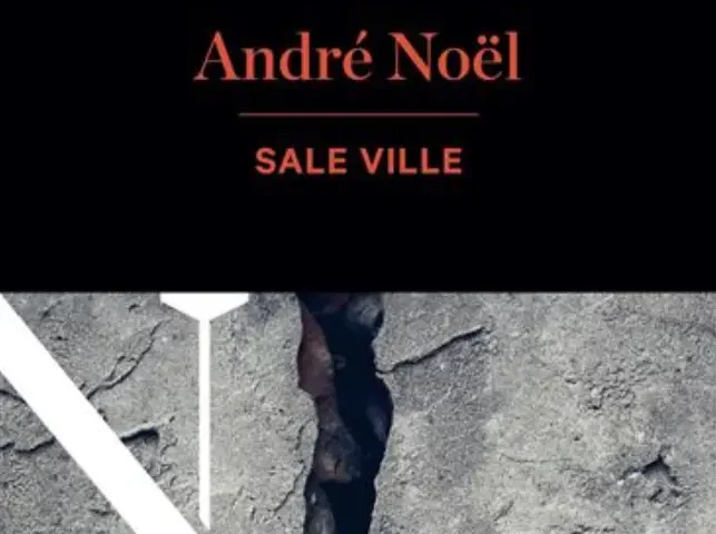 Couverture du livre Sale ville d'André Noël